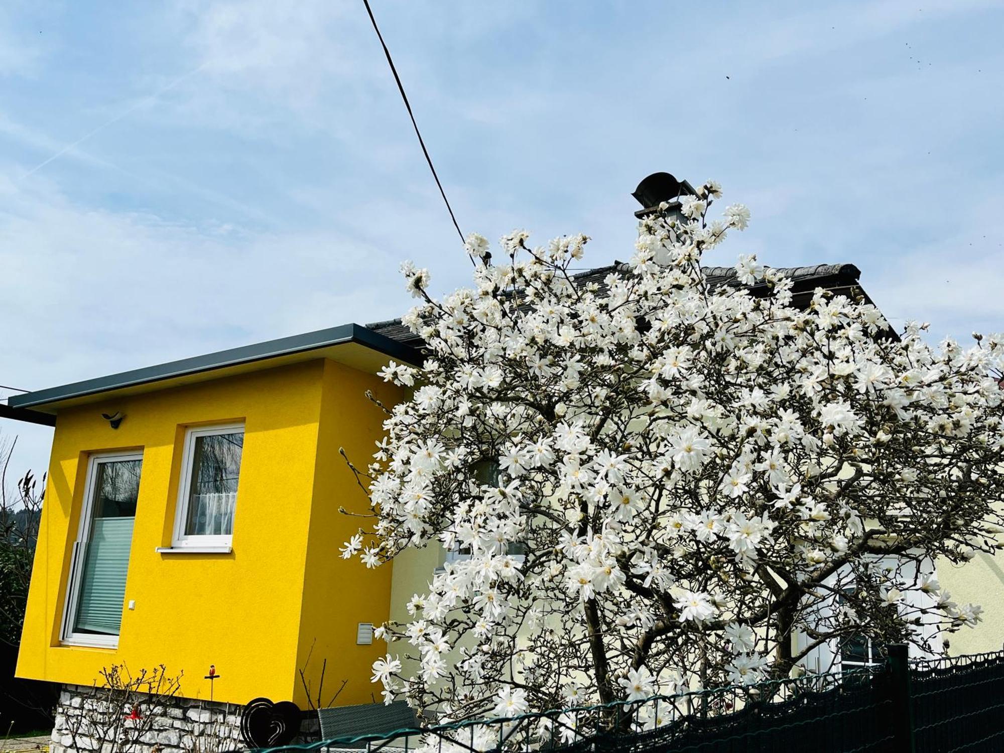 Ferienhaus Sausalblick Großklein Buitenkant foto